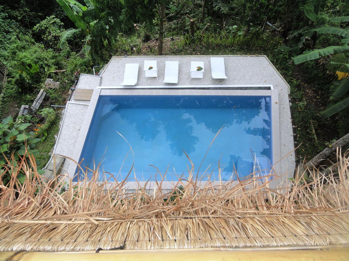 Putu Yoga Bungalow Ubud Piscină foto
